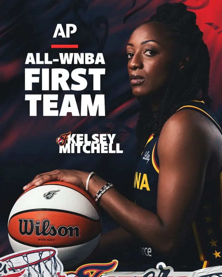 msn, 佩奇ROY msn, 佩奇ROY