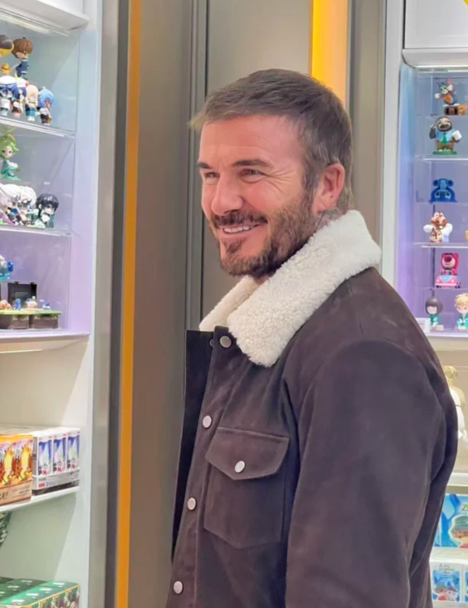 img, FqcZr img, FqcZr