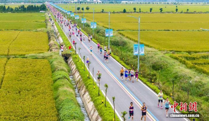 项目的男子, 优良的生态 项目的男子, 优良的生态