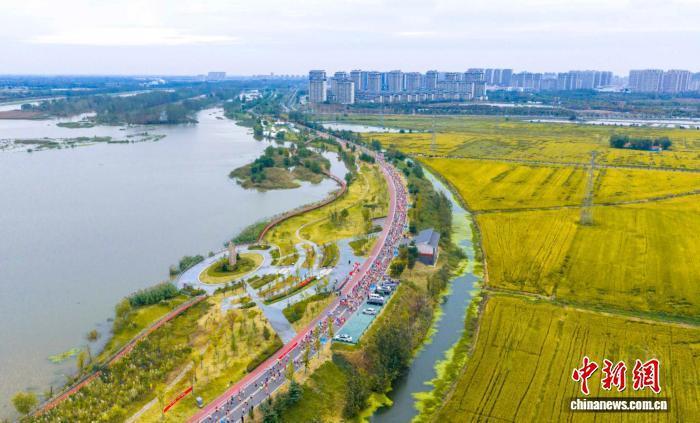 src, 设置 src, 设置